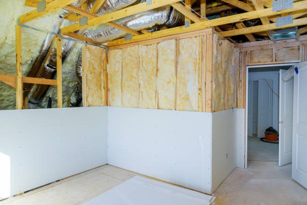 Best Insulation Maintenance and Repair in Sunland Park, NM